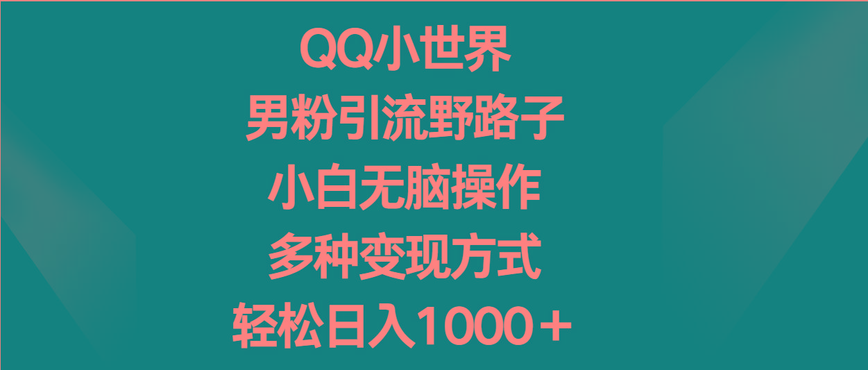 QQ小世界男粉引流野路子，小白无脑操作，多种变现方式轻松日入1000＋-百货大全