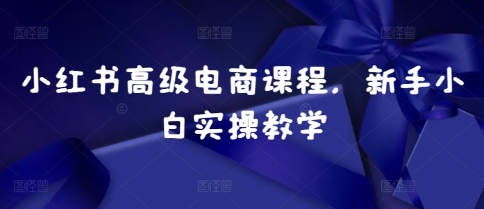 小红书高级电商课程，新手小白实操教学-百货大全