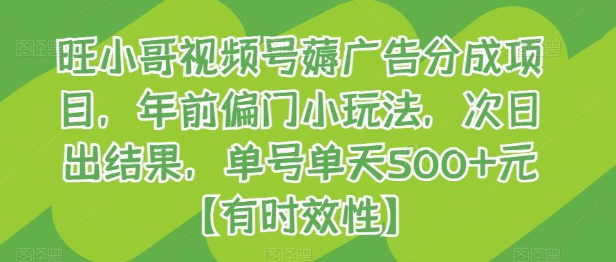 旺小哥视频号薅广告分成项目，年前偏门小玩法，次日出结果，单号单天500+元【有时效性】-百货大全
