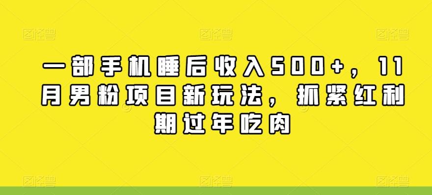 一部手机睡后收入500+，11月男粉项目新玩法，抓紧红利期过年吃肉-百货大全