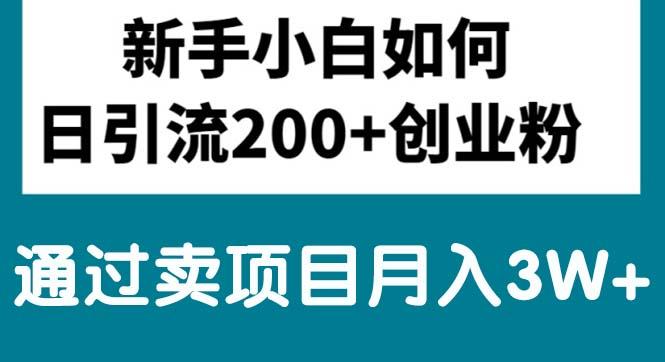 新手小白日引流200+创业粉,通过卖项目月入3W+-百货大全