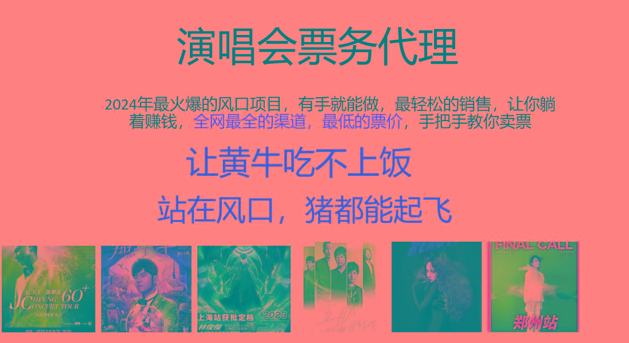 2024年最火爆风口项目，演唱会票务代理，日入2000+，一部手机就能搞定！-百货大全