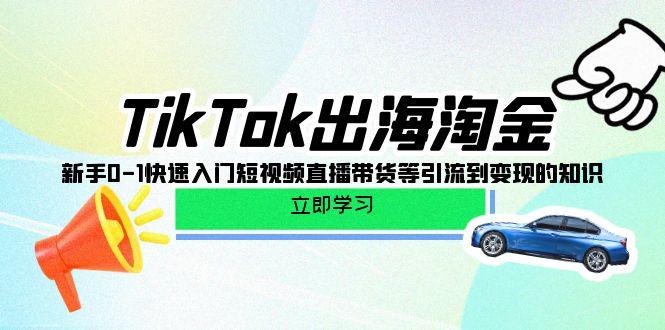 (10035期)TikTok-出海淘金，新手0-1快速入门短视频直播带货等引流到变现的知识-百货大全