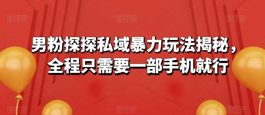 男粉探探私域暴力玩法揭秘，全程只需要一部手机就行-百货大全