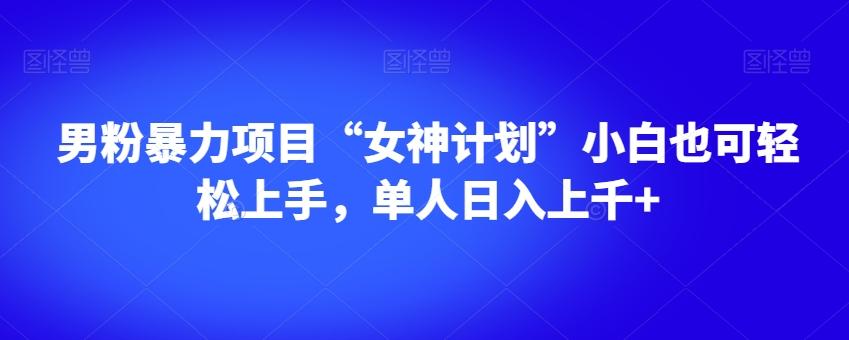 男粉暴力项目“女神计划”小白也可轻松上手，单人日入上千+【揭秘】-百货大全