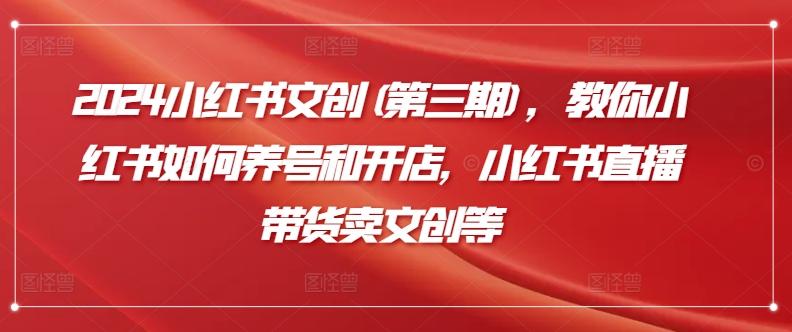 2024小红书文创(第三期)，教你小红书如何养号和开店，小红书直播带货卖文创等-百货大全