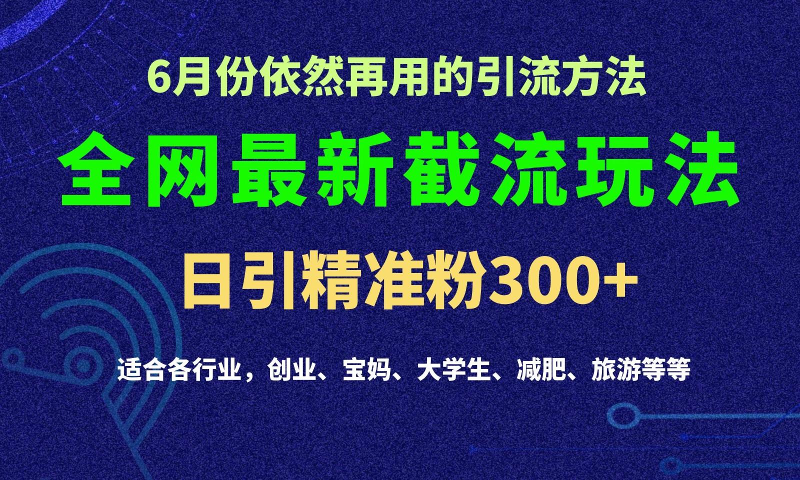 2024全网最新截留玩法,每日引流突破300+-百货大全