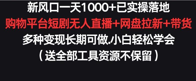 新风口一天1000+已实操落地购物平台短剧无人直播+网盘拉新+带货多种变现长期可做【揭秘】-百货大全