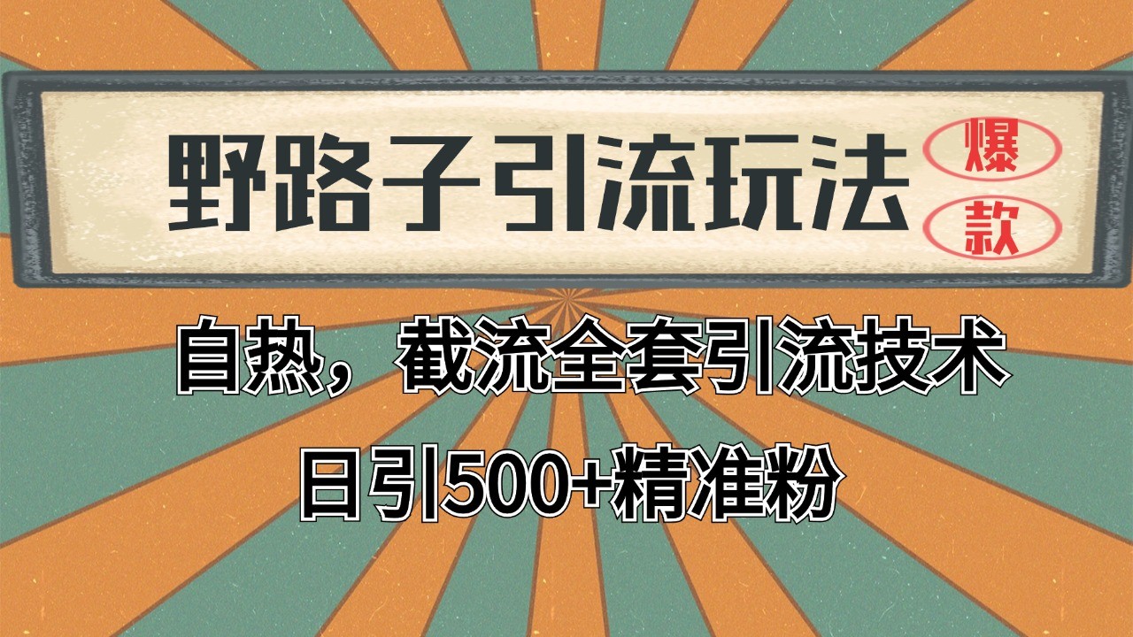 2024首发野路子引流玩法截流自热全平台打法，全自动引流【日引2000+精准客户】-百货大全