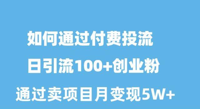 如何通过付费投流日引流100+创业粉月变现5W+-百货大全