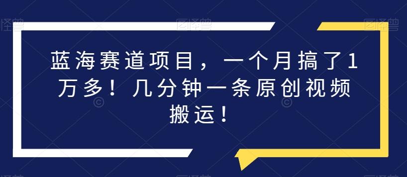 蓝海赛道项目，一个月搞了1万多！几分钟一条原创视频搬运！-百货大全