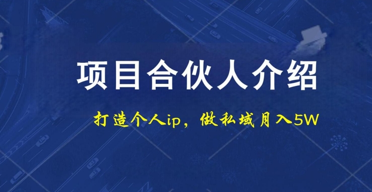 项目合伙人项目，打造个人IP，做私域月入5W，小白勿扰-百货大全