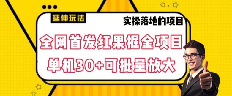 全网首发红果免费短剧掘金项目，单机30+可批量放大【揭秘】-百货大全