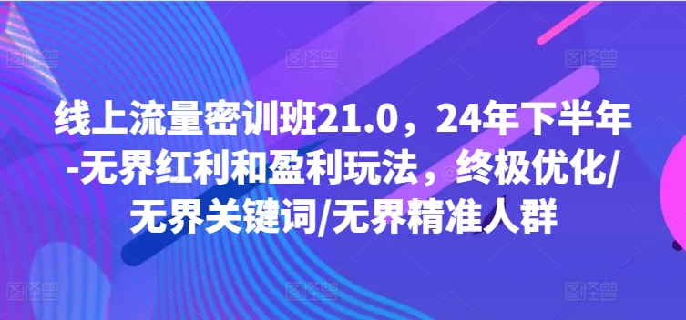 线上流量密训班21.0，24年下半年-无界红利和盈利玩法，终极优化/无界关键词/无界精准人群-百货大全
