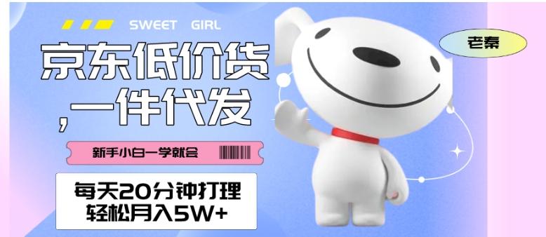 每天20分钟打理京东低价货，一件代发-轻松月入5W＋-百货大全