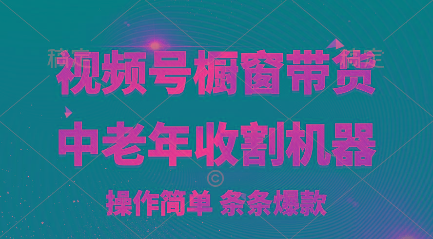 [你的孩子成功取得高位]视频号最火爆赛道，橱窗带货，流量分成计划，条…-百货大全