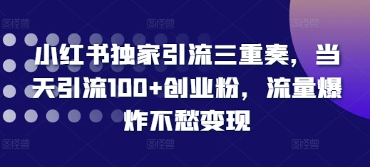 小红书独家引流三重奏，当天引流100+创业粉，流量爆炸不愁变现【揭秘】-百货大全