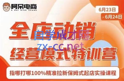 阿呆电商·全店动销经营模式特训营(线下录音+思维导图)-百货大全
