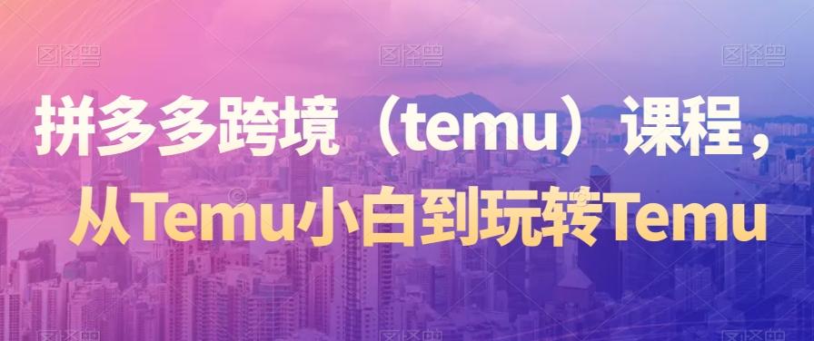 拼多多跨境（temu）课程，从Temu小白到玩转Temu-百货大全