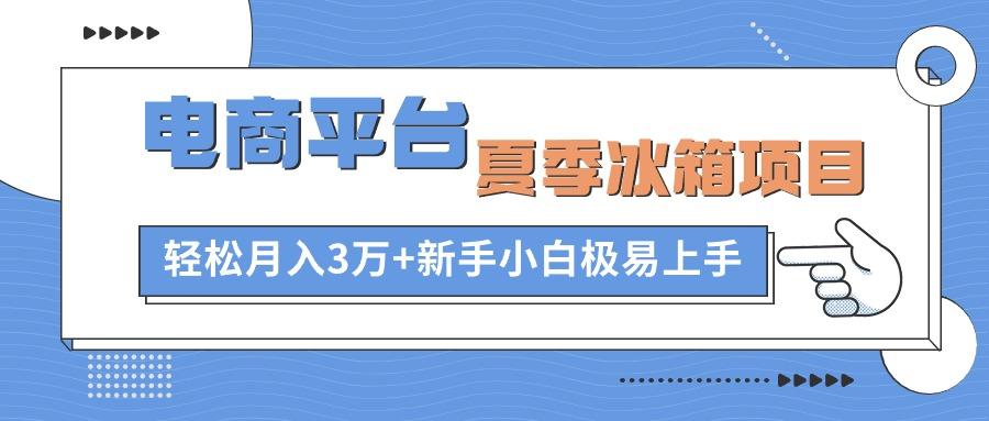电商平台夏季冰箱项目，轻松月入3万+，新手小白极易上手-百货大全