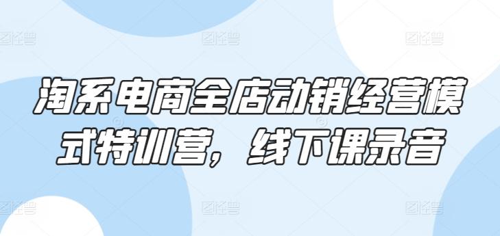 淘系电商全店动销经营模式特训营，线下课录音-百货大全