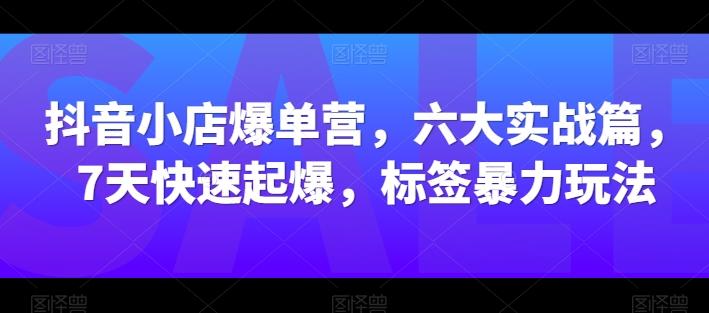 抖音小店爆单营，六大实战篇，7天快速起爆，标签暴力玩法-百货大全