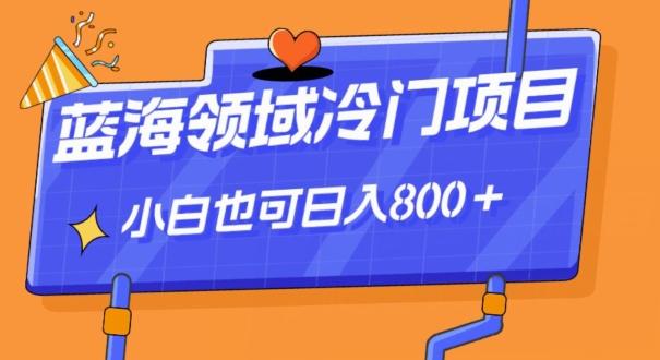 蓝海领域冷门赛道，一单39.9，日入800＋-百货大全
