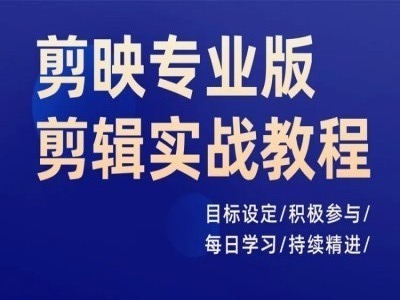 剪映专业版剪辑实战教程，目标设定/积极参与/每日学习/持续精进-百货大全