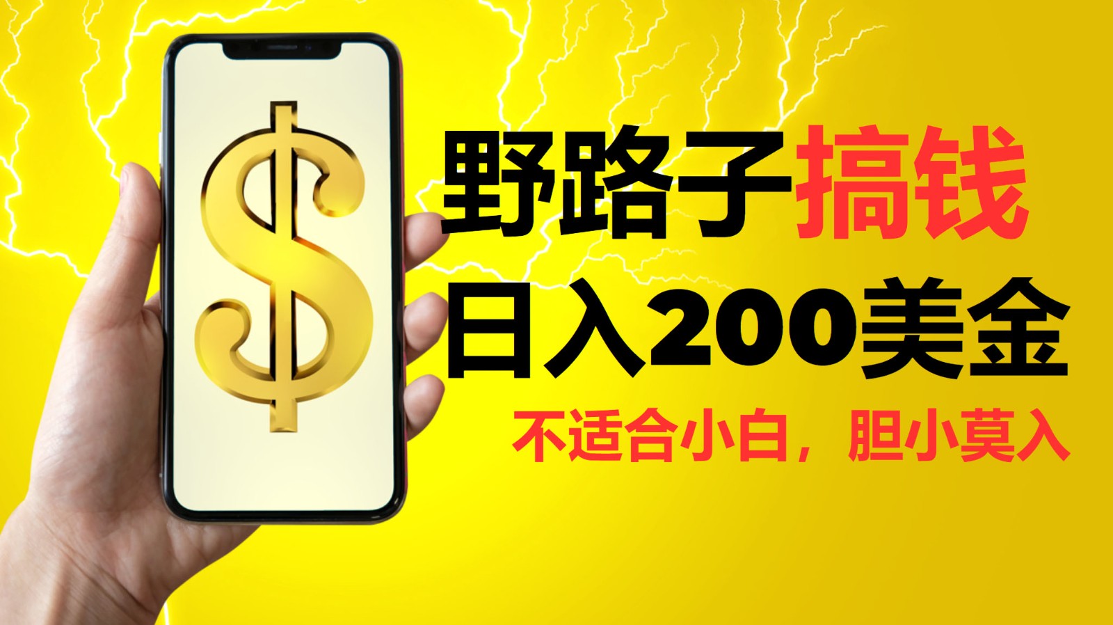 挂机野路子搞钱，日入200美金，路子很野，小白莫入-百货大全
