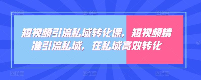 短视频引流私域转化课，短视频精准引流私域，在私域高效转化-百货大全