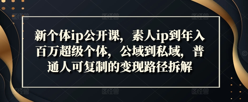 新个体ip公开课，素人ip到年入百万超级个体，公域到私域，普通人可复制的变现路径拆解-百货大全