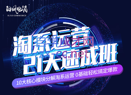 淘系运营21天速成班(更新7月)-百货大全
