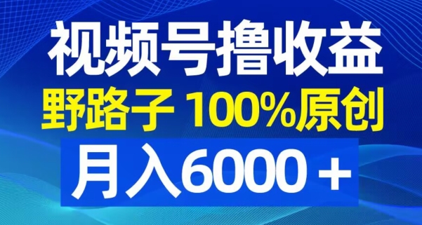 视频号野路子撸收益，100%原创，条条爆款，月入6000＋【揭秘】-百货大全