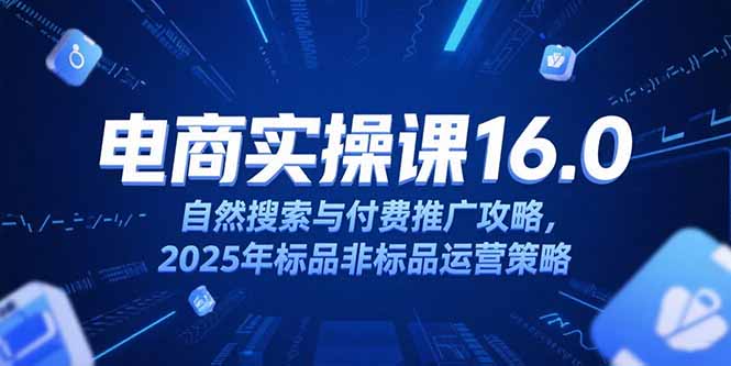 淘宝电商运营课16.0，自然搜索与付费推广攻略，2025年标品非标品运营策略-百货大全