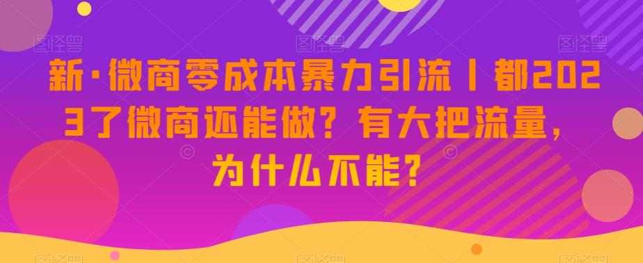 新·微商零成本暴力引流丨都2023了微商还能做？有大把流量，为什么不能？-百货大全