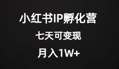 价值2000+的小红书IP孵化营项目，超级大蓝海，七天即可开始变现，稳定月入1W+-百货大全
