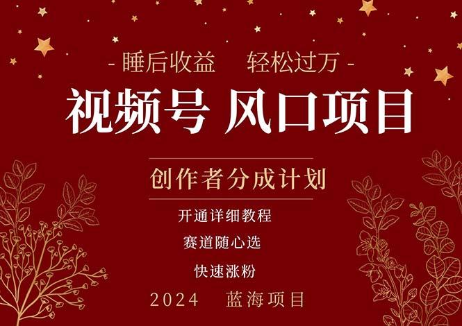 拥有睡眠收益的微信视频号大风口项目，轻松月入过万+，多赛道选择，可…-百货大全