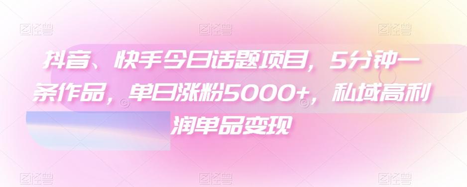 抖音、快手今日话题项目，5分钟一条作品，单日涨粉5000+，私域高利润单品变现-百货大全