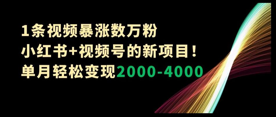 1条视频暴涨数万粉–小红书+视频号的新项目！单月轻松变现2000-4000【揭秘】-百货大全