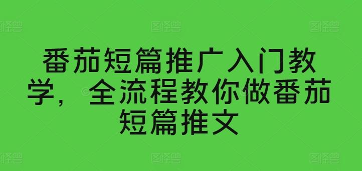 番茄短篇推广入门教学，全流程教你做番茄短篇推文-百货大全