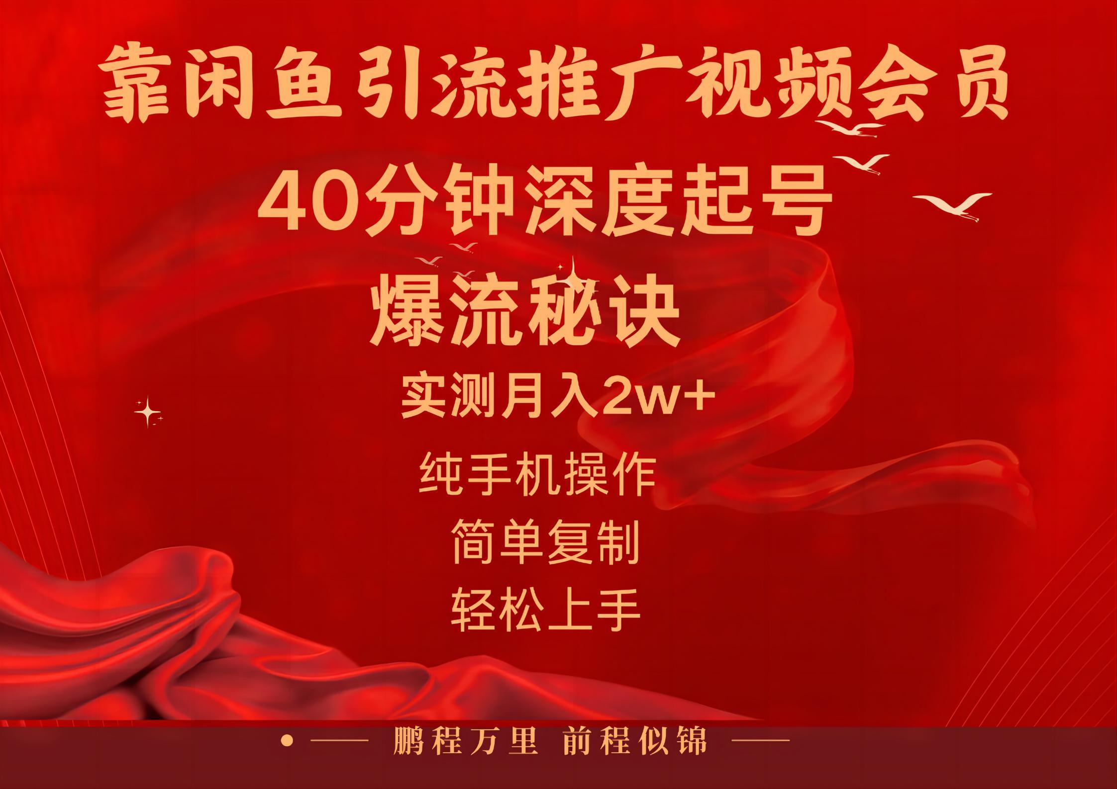 闲鱼暴力引流推广视频会员，能做到日入2W+，操作简单-百货大全