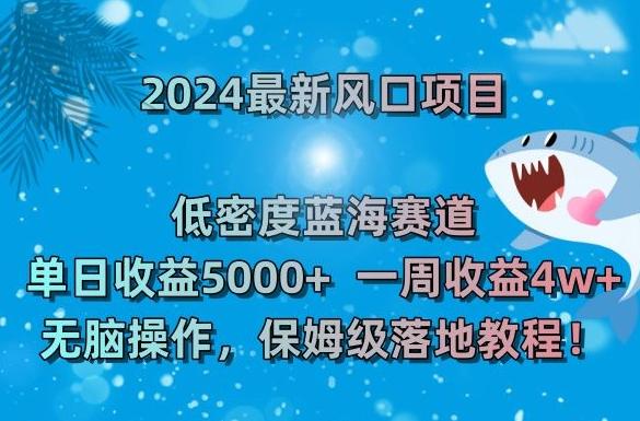2024最新风口项目，低密度蓝海赛道，单日收益5000+，一周收益4w+！【揭秘】-百货大全