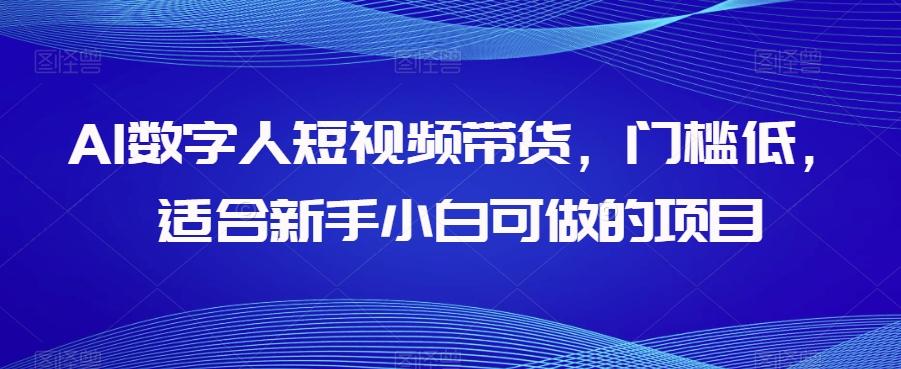 AI数字人短视频带货，门槛低，适合新手小白可做的项目-百货大全