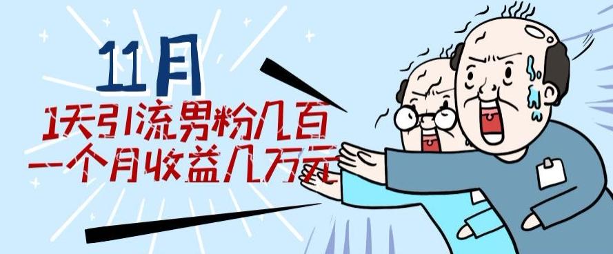 11月最新每天引流男粉300+一个月收益几万元-百货大全