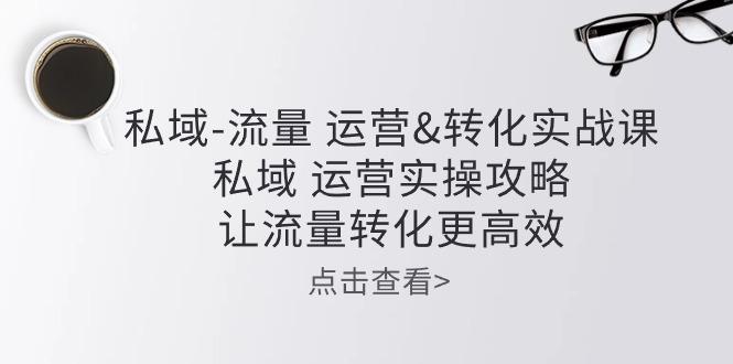私域-流量 运营&转化实操课：私域 运营实操攻略 让流量转化更高效-百货大全