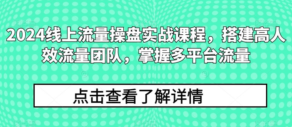 2024线上流量操盘实战课程，搭建高人效流量团队，掌握多平台流量-百货大全
