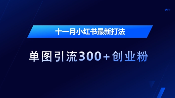 十一月小红书最新打法，单图引流300+创业粉【揭秘】-百货大全