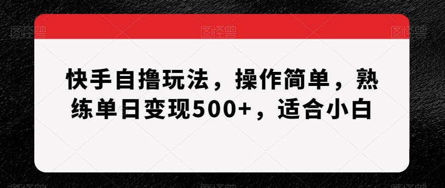 快手自撸玩法，操作简单，熟练单日变现500+，适合小白【揭秘】-百货大全