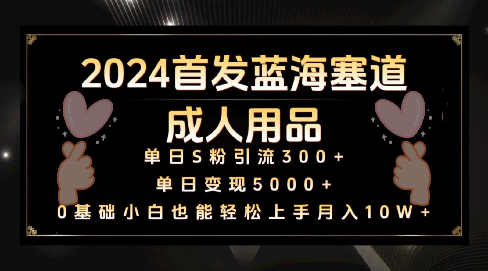 2024首发蓝海塞道成人用品，月入10W+保姆教程-百货大全