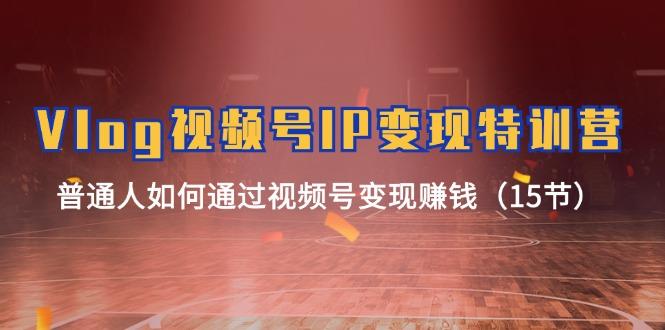 Vlog 视频号IP变现特训营，普通人如何通过视频号变现赚钱(15节-百货大全